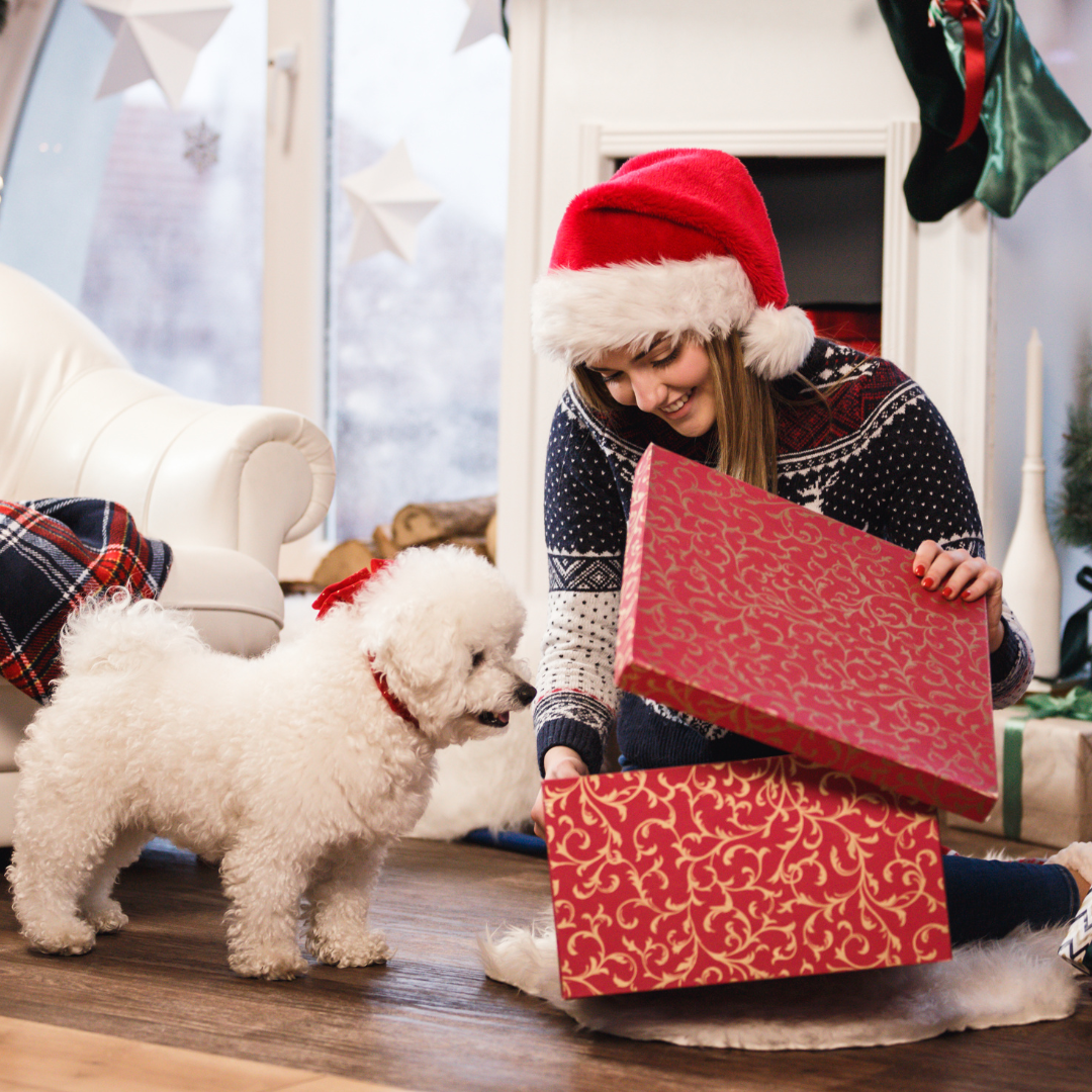 Caja Gourmet para Perros Navidad – Cesta de Regalo Friskies con Snacks Naturales, Golosinas Premium y Juguetes – Pienso y Chuches para Mascotas